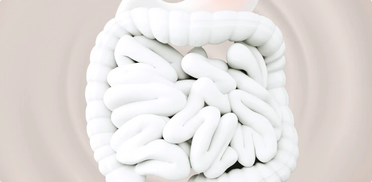 Фоновая картинка