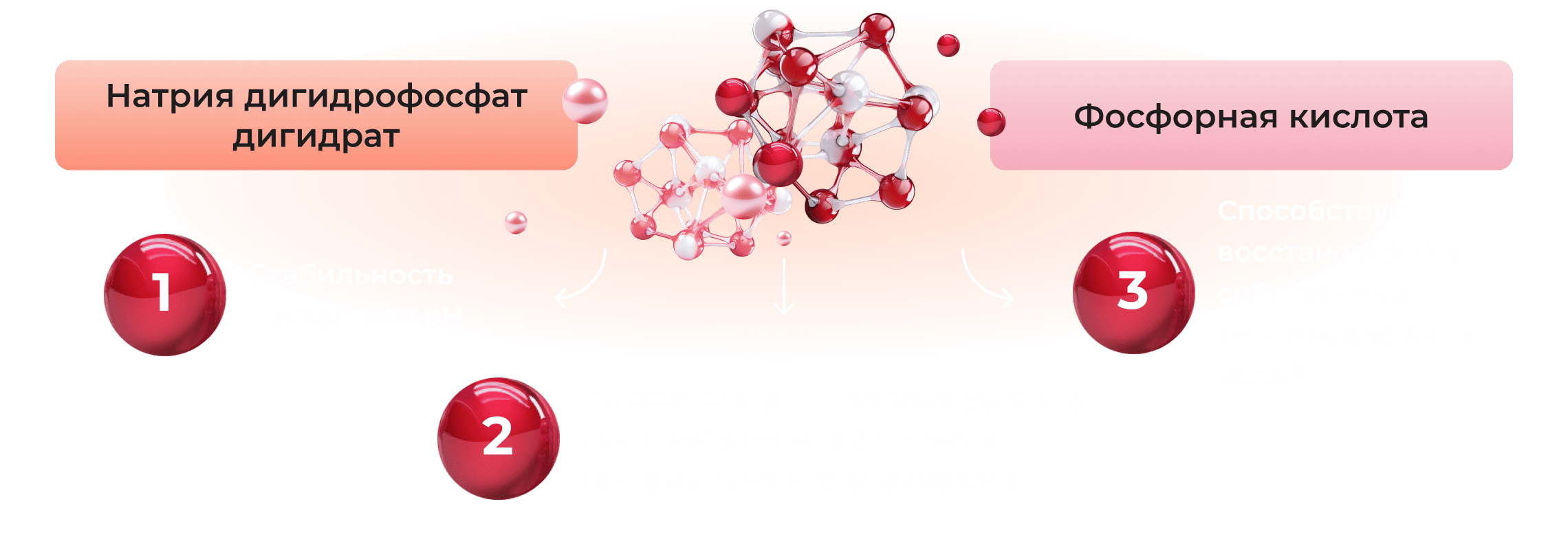 mol-scheme