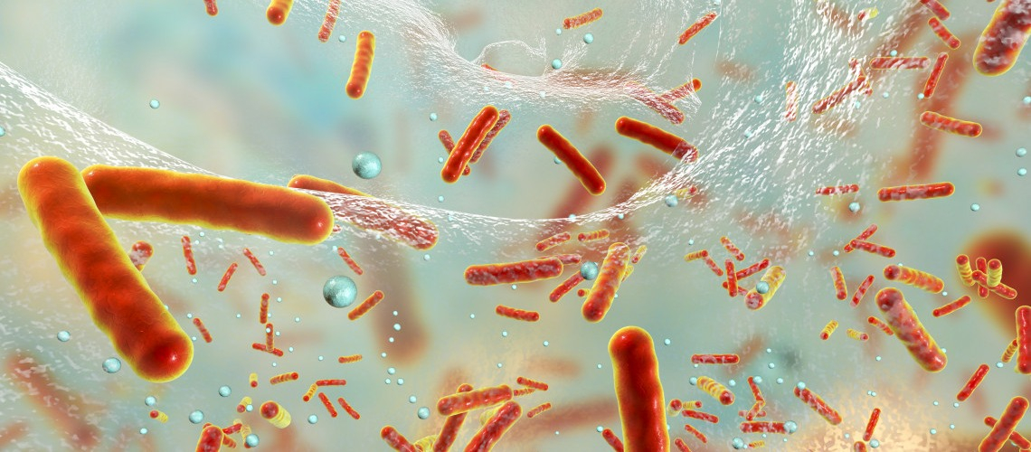 Микобактерия устойчива вдвойне