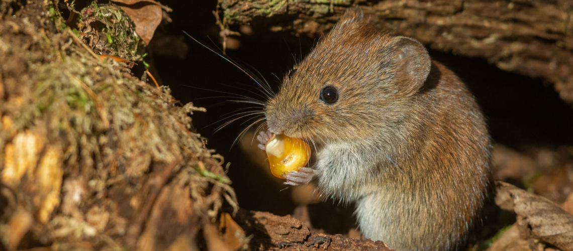 Не трогайте, это на зиму
