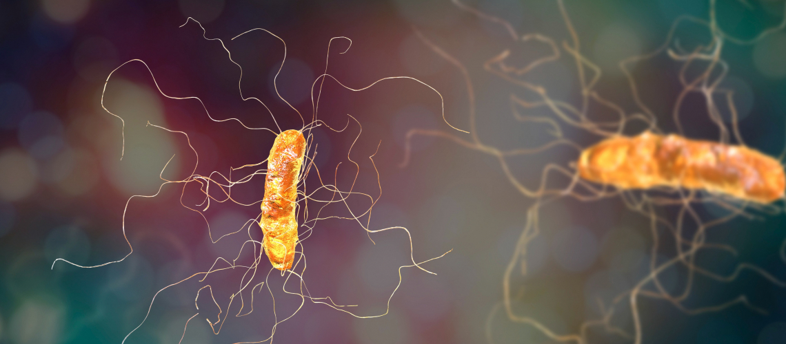 Бактерии: новая угроза
