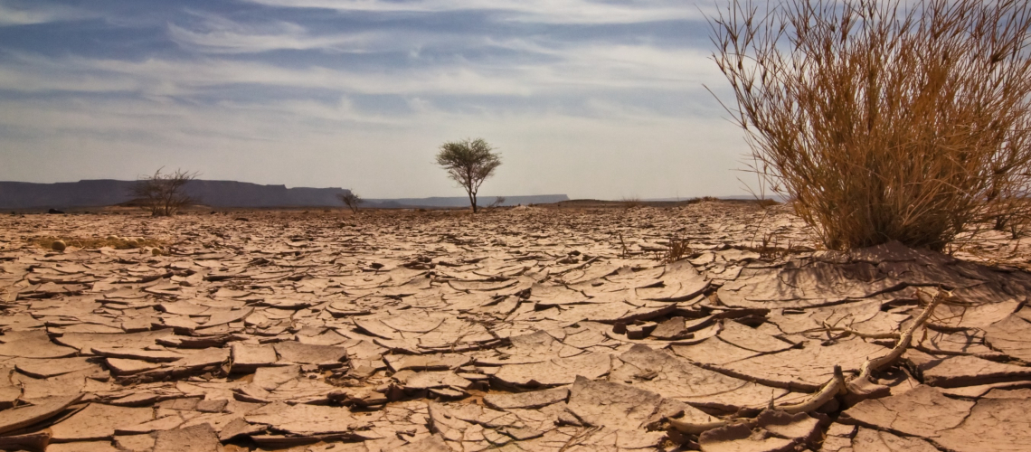 Научному источнику грозит засуха