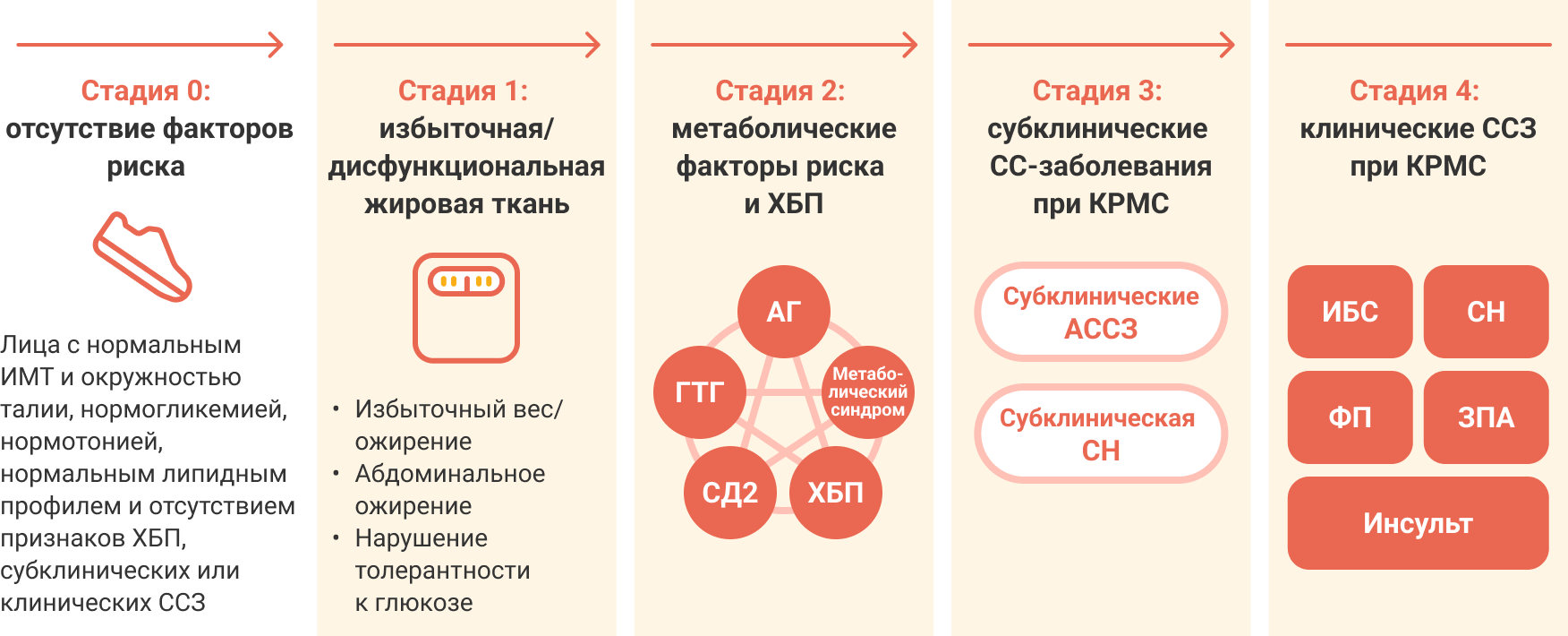 Cтадии кардиоренометаболического синдрома
